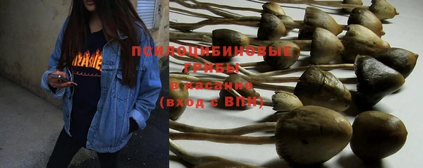 не бодяженный Вяземский