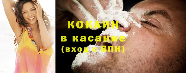 крисы Вязьма