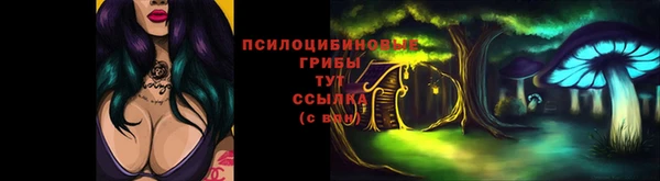 не бодяженный Вяземский