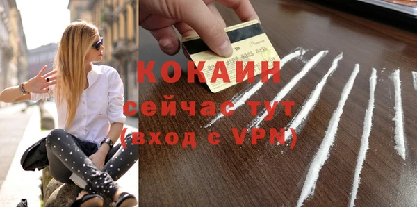 крисы Вязьма