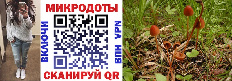 Псилоцибиновые грибы мухоморы  Купить закладки  Вязьма 