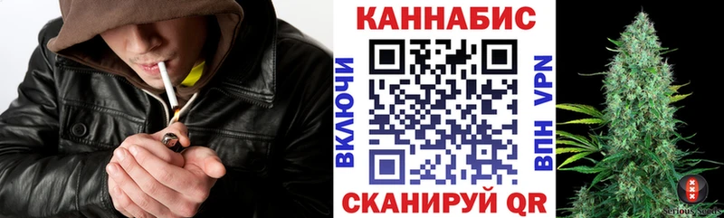 Бошки марихуана THC 21%  Купить где  Вязьма 